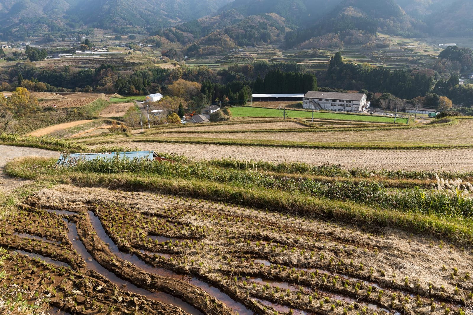 山あいの集落にある棚田と小さな学校の建物、晩秋の風景